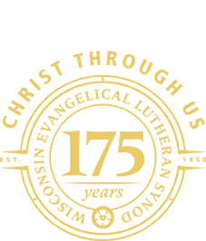 175th logo meaning